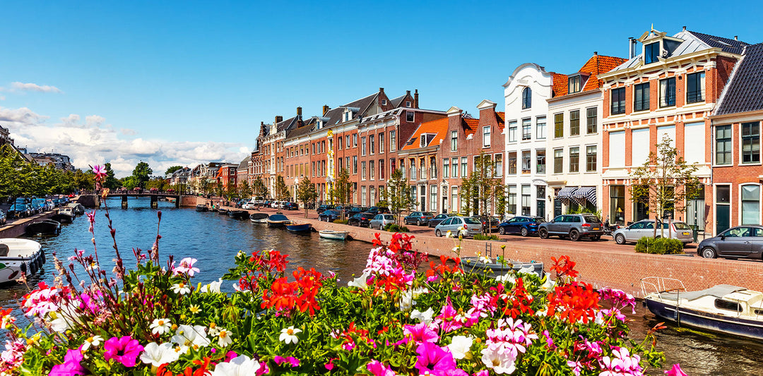 Bestel taarten naar Haarlem!
