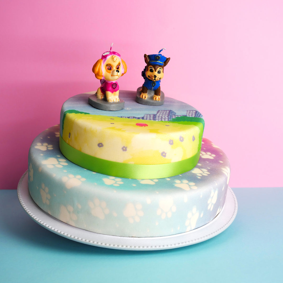 Paw Patrol® on a 2-tier colourful meadow cake