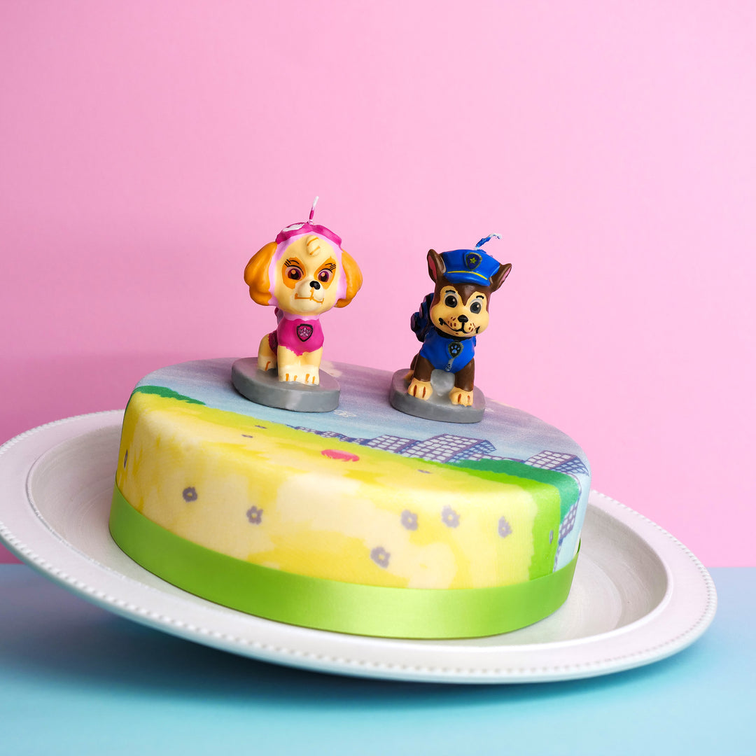 Paw Patrol® on a colourful meadow cake