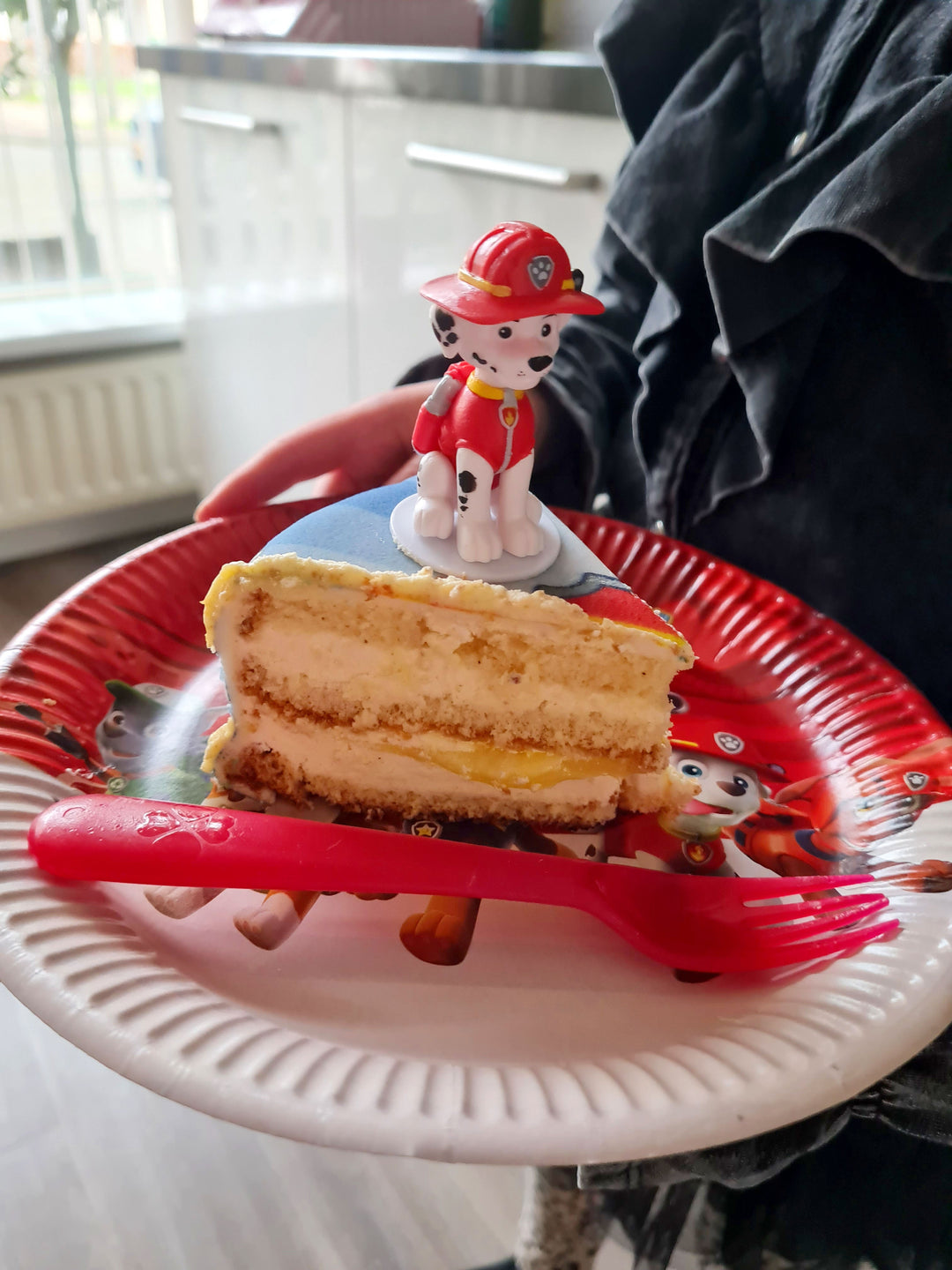 Chase and Marshall from PAW Patrol® on a Dog Heroes cake