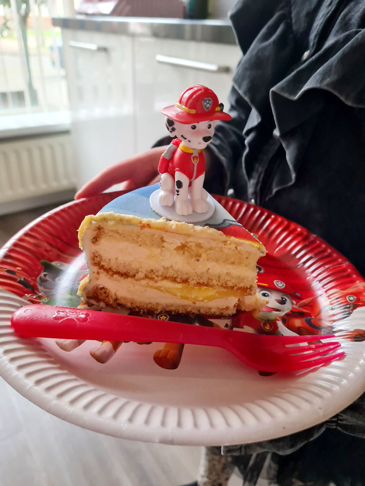 Chase and Marshall from PAW Patrol® on a Dog Heroes cake