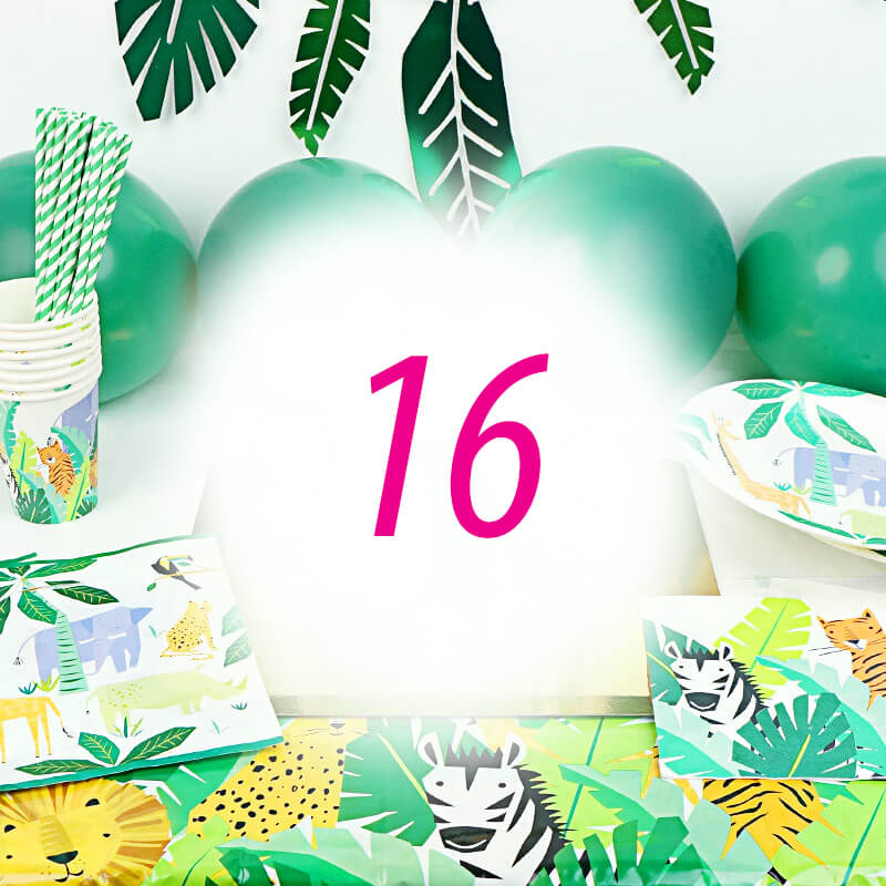 Jungle party set for 16 people – without cake