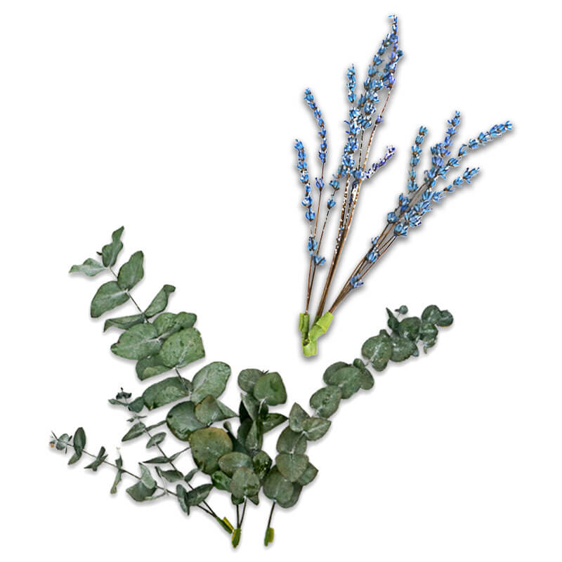 Dried Flower Decoration Set – Eucalyptus and Lavender in Purple-Blue
