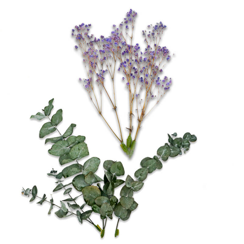 Dried Flower Decoration Set – Eucalyptus and Baby’s Breath Purple