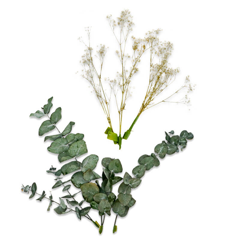 Dried Flower Decoration Set – Eucalyptus and Baby’s Breath, Natural