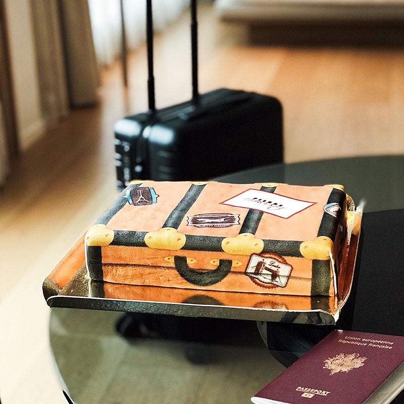 Bon Voyage Cake