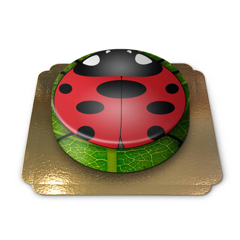 Ladybird/Lucky Beetle Cake