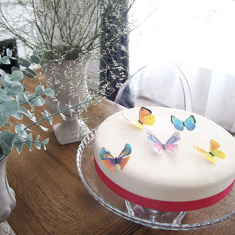 Cake with butterfly wafers