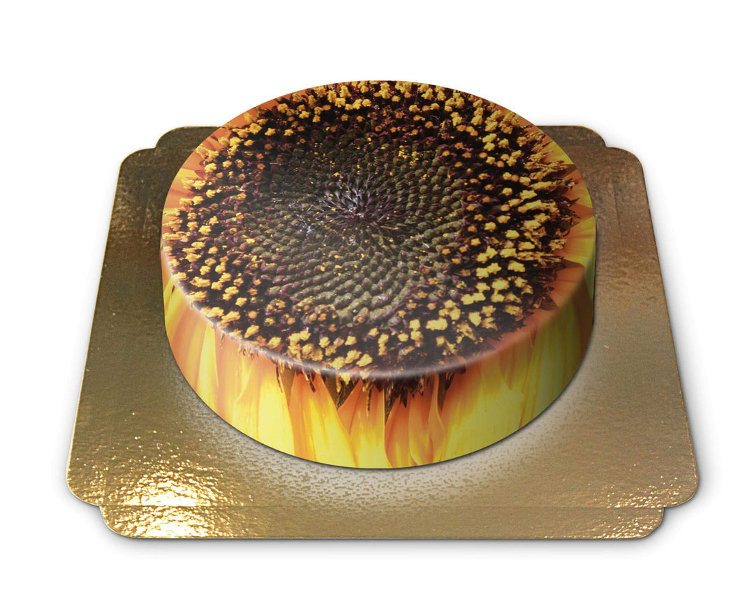 Sunflower Cake